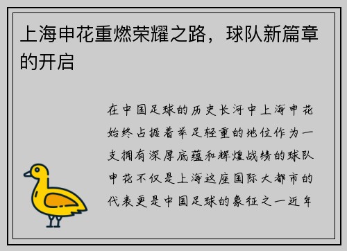 上海申花重燃荣耀之路，球队新篇章的开启